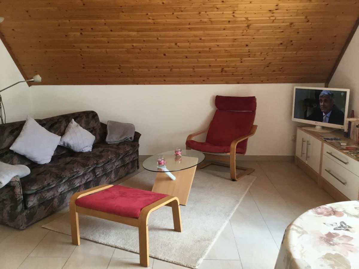 Appartements Am Hexenstieg Sankt-Andreasberg Extérieur photo